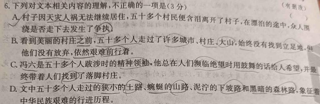 2024年陕西省初中学业水平适应性联考(三)(语文)