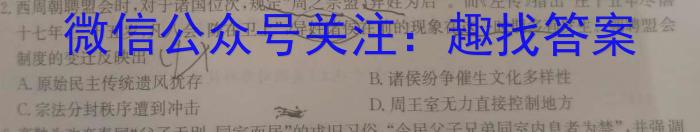 2024届青海省高三4月联考(同心圆)历史试卷答案