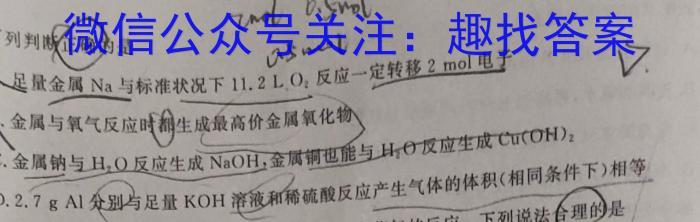 q安徽省安师联盟2024年中考权威预测模拟试卷（六）化学