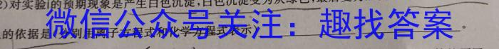 【精品】陕西省2024届九年级学业水平质量监测（3月）化学