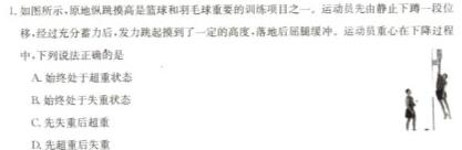 [今日更新]［滨州一模]2024届滨州市高考模拟考试.物理试卷答案