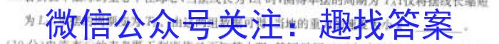 2024届河南省九第七届名校联盟考(24-CZ114c)h物理