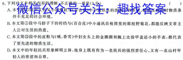 2024届四川省南充市高考适应性考试(三诊)语文