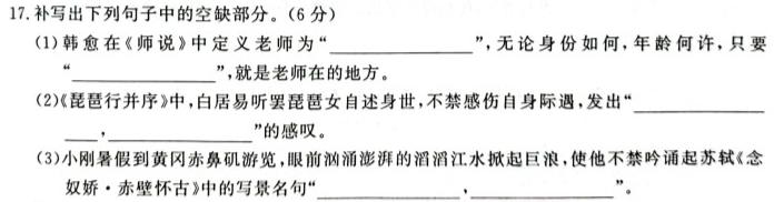 [今日更新]安徽省2024年中考总复习专题训练 R-AH(十)10语文试卷答案