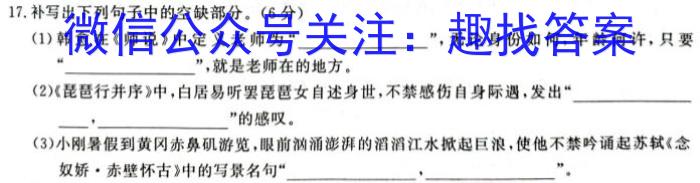云南省普洱市2023~2024学年上学期高二年级期末统测试卷(242438D)/语文