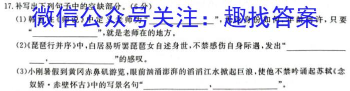 中考必杀技2024年山西省初中学业水平考试B卷语文