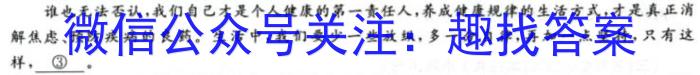 安徽省2023-2024学年第二学期八年级教学素养测评（□R-AH）语文