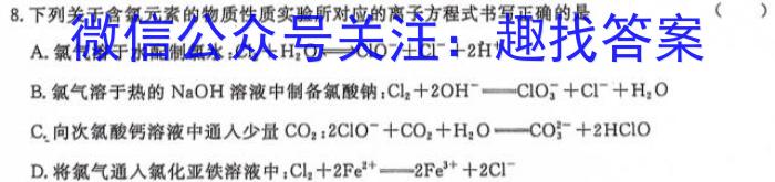 洛阳市2023-2024学年高一质量检测（2024.7）化学