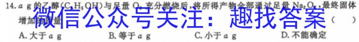 正确教育 2024年高考考向核心卷(新课标卷)数学