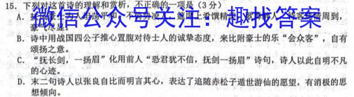 2024年陕西省初中学业水平考试冲刺(一)语文