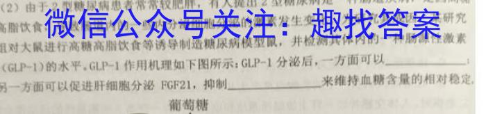 2024河南中考学业备考全真模拟试卷(23)生物学试题答案