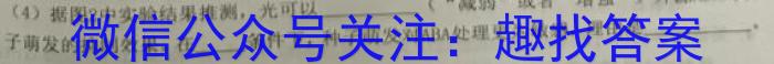 河南郑州外国语学校2024届高三全真模拟一试卷(2024.5.21)生物学试题答案