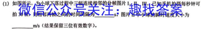 江西省2024届九年级《学业测评》分段训练（五）f物理