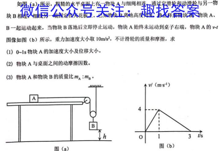 安徽省2024年九年级教学质量检测(CZ147c)物理