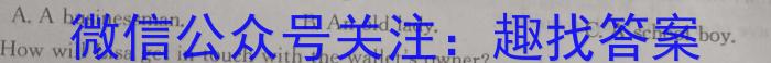 山西省忻州二中2023-2024学年高三第二学期期中考试英语试卷答案