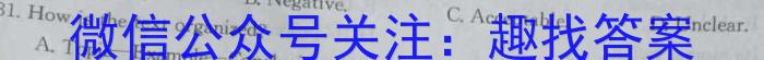 安徽省2023-2024学年度第一学期高一年级期末联考（241452D）英语