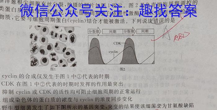 湖北省2024年春"荆、荆、襄、宜四地七校考试联盟"高二期中联考生物学试题答案