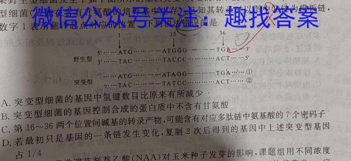 陕西省2024届高三年级下学期3月联考生物学试题答案