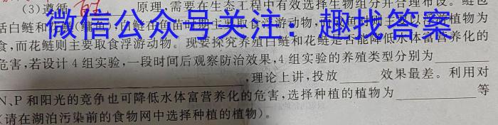 甘肃省2024年陇南市中考模拟联考卷（二）数学