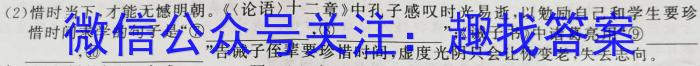 安徽省2024年中考模拟示范卷（一）语文