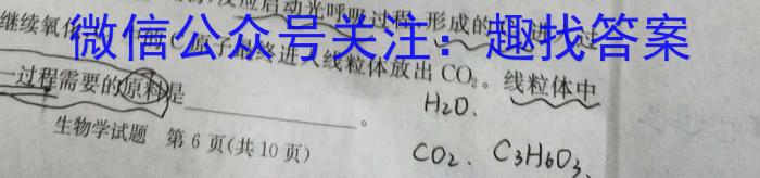 2024年全国普通高等学校招生统一考试·A区专用 JY高三模拟卷(六)6英语