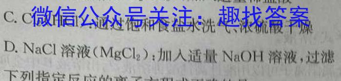 【精品】安徽省2023-2024学年第二学期八年级阶段巩固练习化学