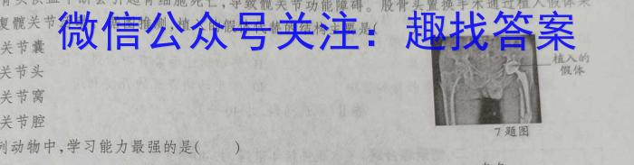 2024届河南省中考导向总复习试卷-中考模拟试卷（二）数学