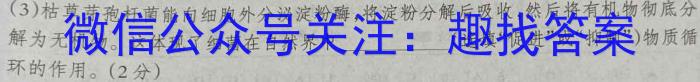 河北省2024年九年级6月模拟(一)1数学