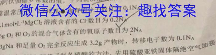 非凡吉创 2024届高三年级TOP二十名校仿真模拟一数学