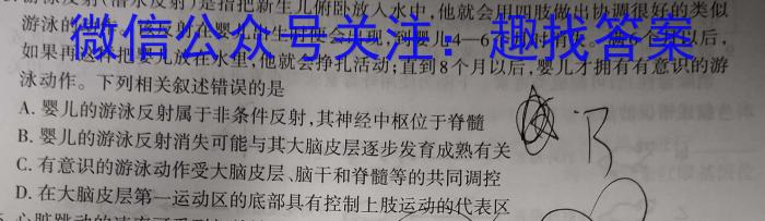 2024年普通高等学校招生全国统一考试 名校联盟·模拟信息卷(T8联盟)(八)英语