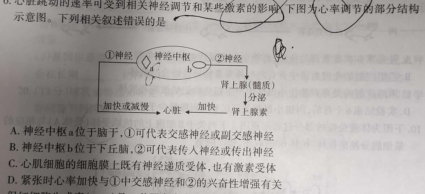 晋中市2023-2024学年九年级第一学期期末学业水平质量监测生物学部分