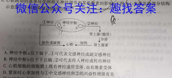 2024年全国甲卷生物学试题答案