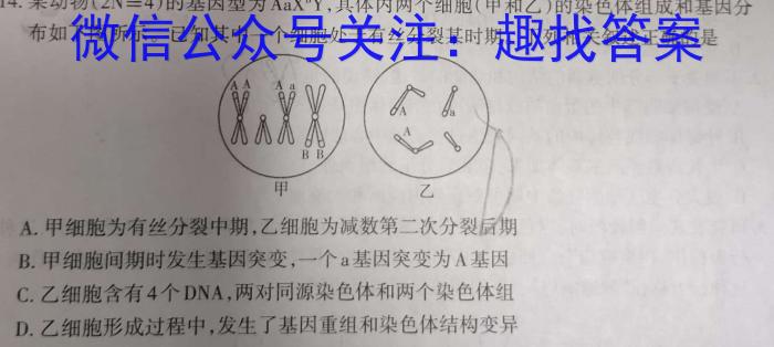 陕西省2024年九年级第二次模拟考试A数学