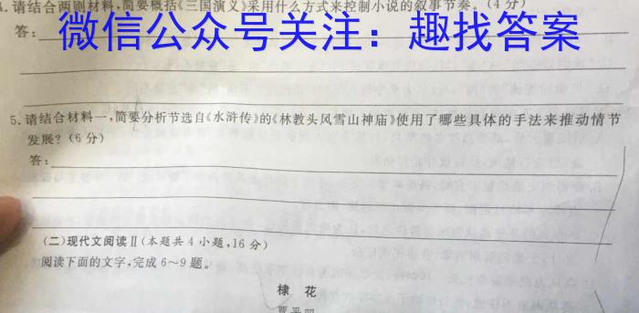 安徽省2024年中考总复习专题训练 R-AH(六)6/语文