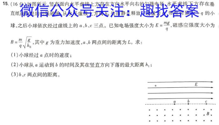 天一大联考2024-2025学年（上）湖南高三一联物理试卷答案