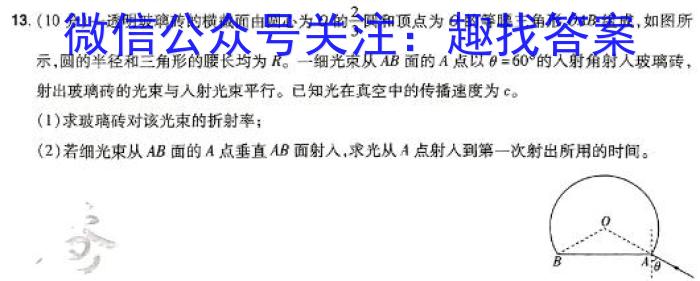 山东省2024届衡水金卷高三2月联考SD试卷物理`