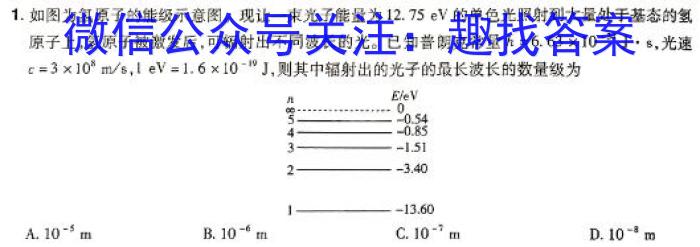河南省汝州市2023-2024学年下学期八年级期中质量检测h物理