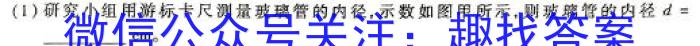 江西省青山湖区2023-2024学年度下学期九年级学业质量检测卷物理