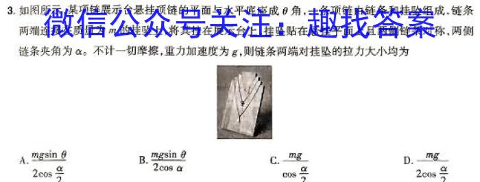 文博志鸿 2024年河北省初中毕业生升学文化课模拟考试(冲刺二)物理`