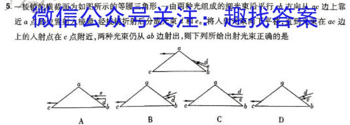 河南省2023-2024学年八年级下学期阶段性评价卷三物理试题答案