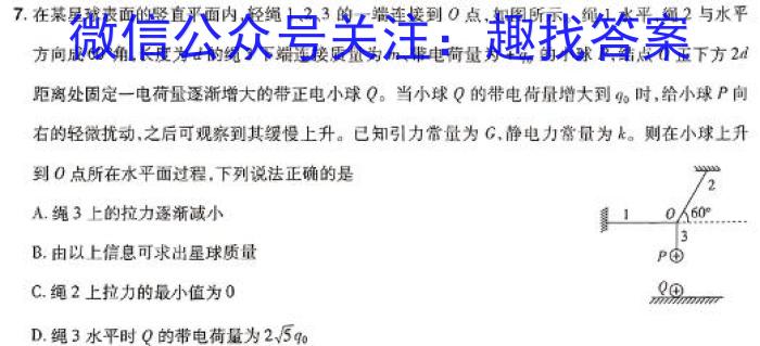 炎德英才大联考长郡中学2024届高三月考试卷（六）物理试卷答案