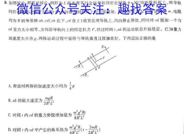 江西省吉安市十校联考2023-2024学年八年级第二学期期中考h物理