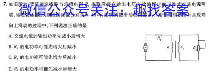 上进联考·稳派大联考2023-2024学年江西省高三年级下学期4月联考h物理