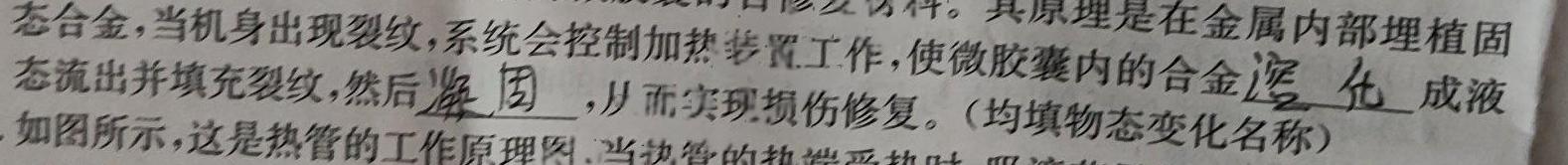 [今日更新]豫智教育·2024年河南省中招权威预测模拟试卷（五）.物理试卷答案