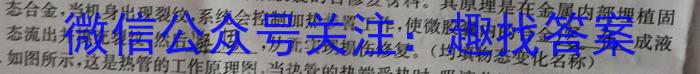 九师联盟·陕西省2024-2025学年高三教学质量监测开学考物理试卷答案