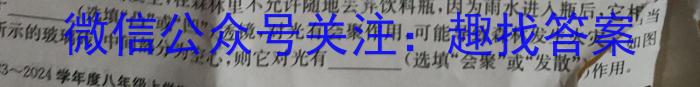 安徽省2024年滁州市高一教学质量监测物理试题答案