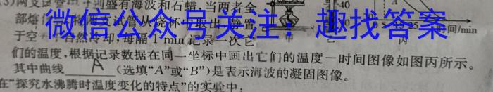 2024年陕西省初中学业水平考试全真模拟试卷（二）A物理`