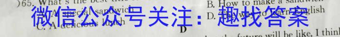 湖南省长郡教育集团2024年春季九年级期中限时检测试卷英语试卷答案