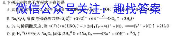 衡水金卷先享题2024答案调研卷(湖北专版)三数学