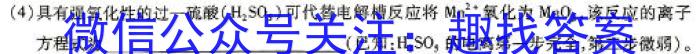 2025届全国高考分科模拟调研卷（一）数学